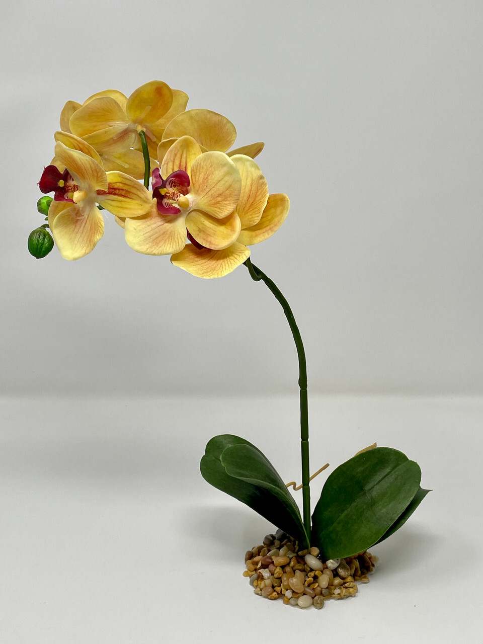 Home Decor 10-14″ Peach Orange PHALAENOPSIS ORCHID Soft Silk flower plant, Stone