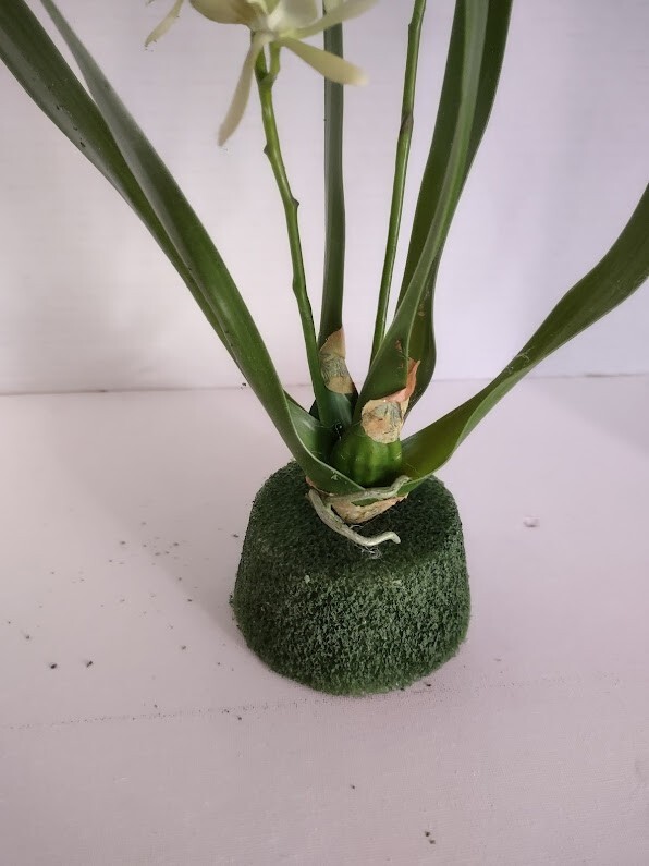 Artificial Mini Cattleya Orchid stem LIME GREEN