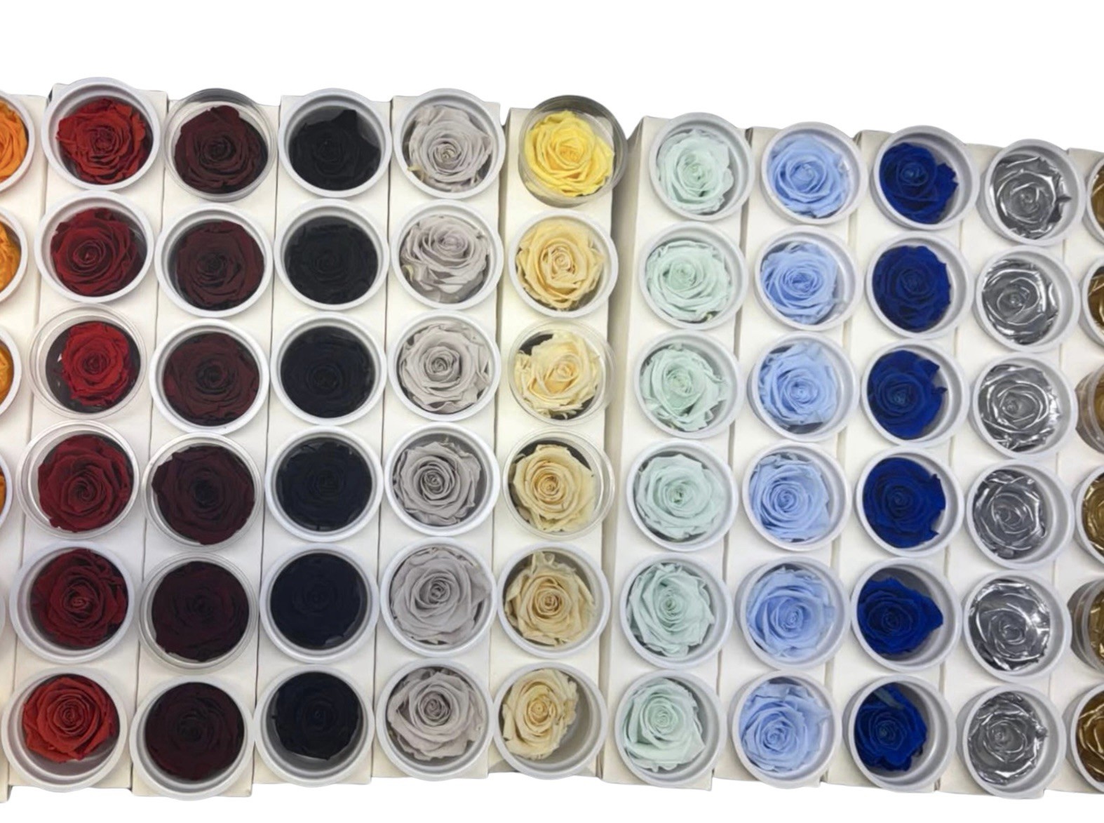 Eternal Roses Pack of 6 Brand New Multiple Colors Florist Event Decor