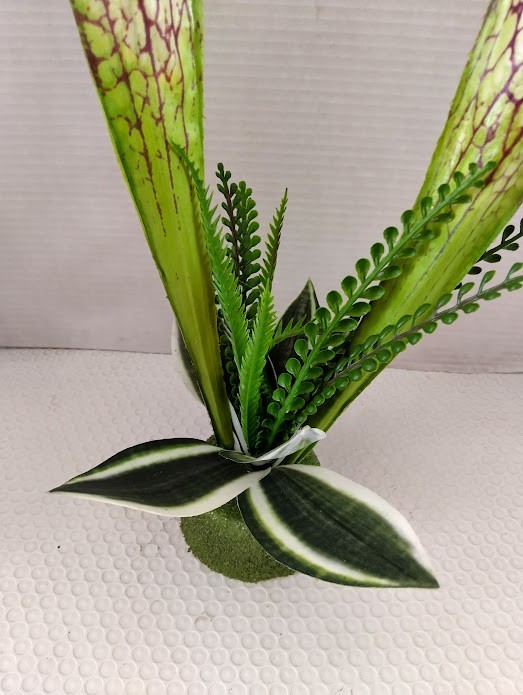Pitcher plant table Decoration