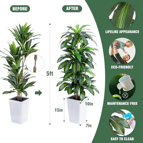 Artificial Dracaena Tree with White Tall Planter, 5ft Tall Dracaena Plant
