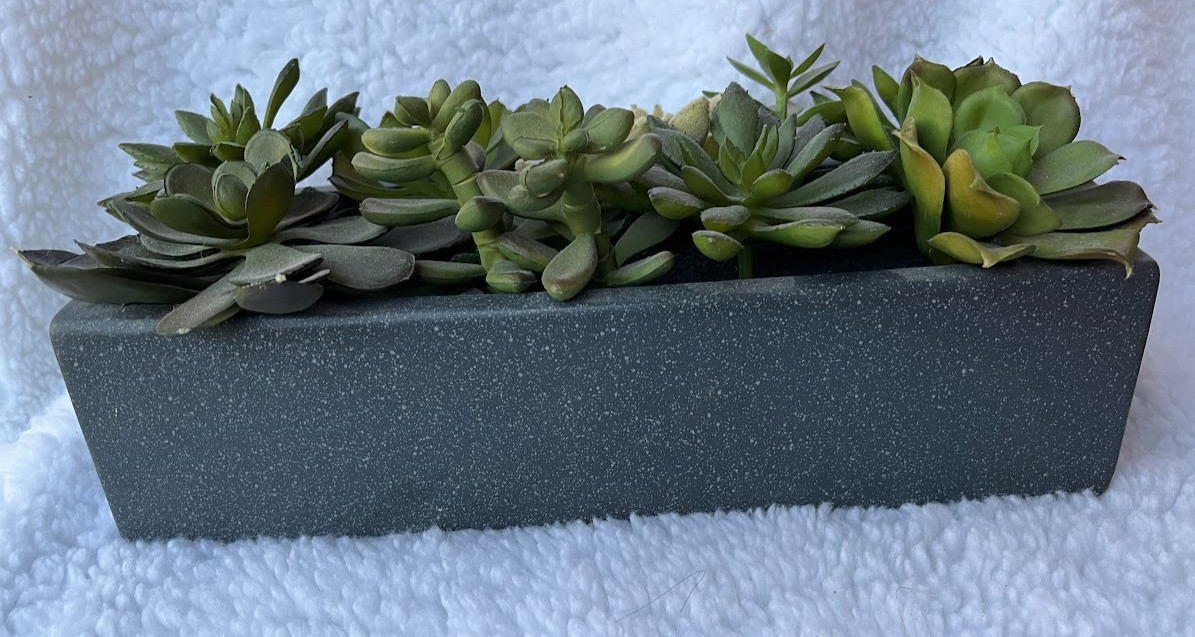 CRATE & BARREL ~ FAUX SUCCULENT ARRANGEMENT IN GRAY CERAMIC PLANTER ~ 12″x5″x3″