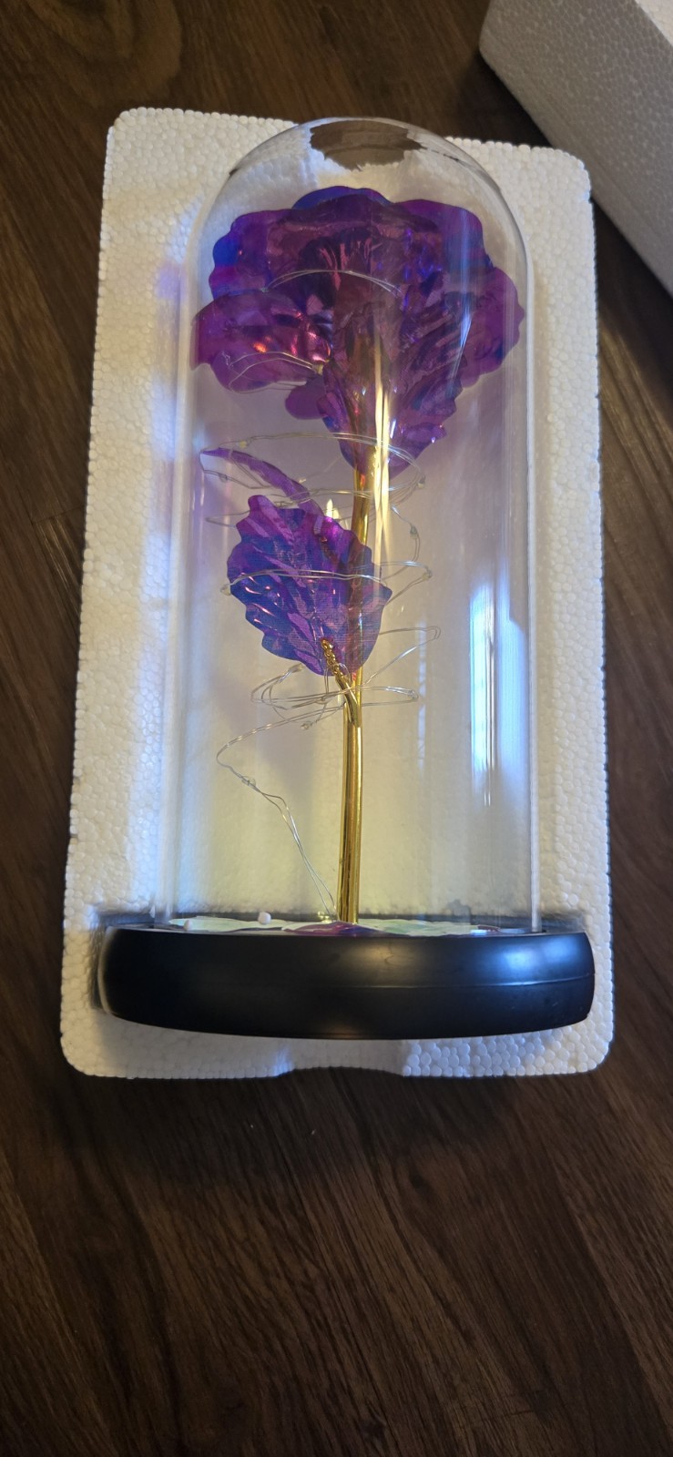 Light Up Rose Flower in a Glass Dome LED Lights Gift for Birtday / Holiday…