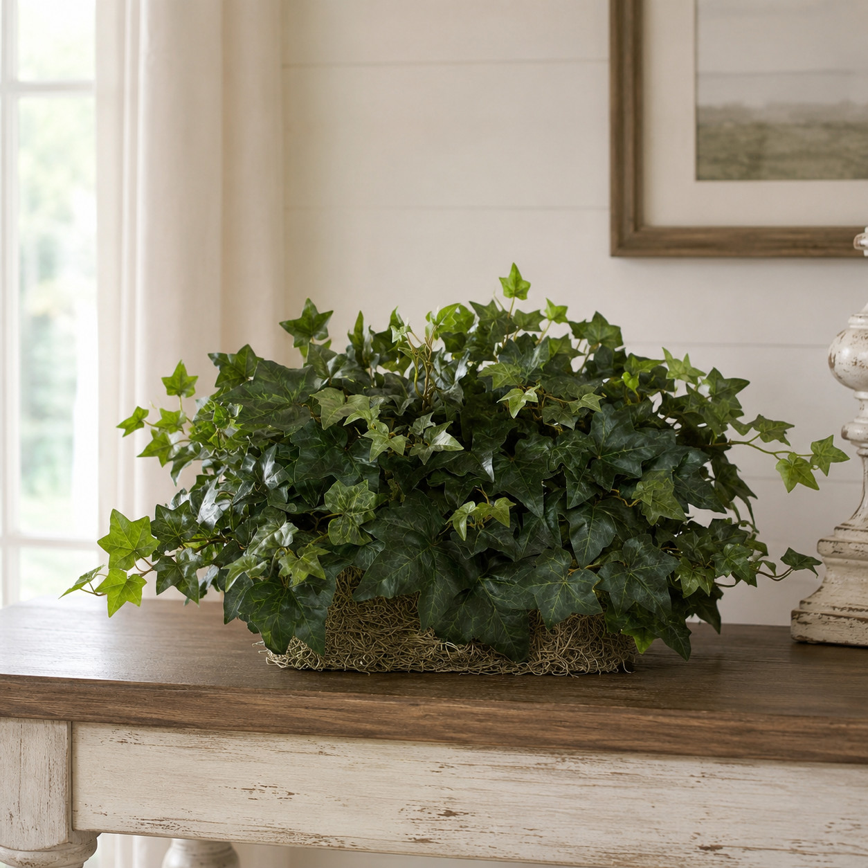 Ivy Ledge Plant (Set on Foam) Silk Plant