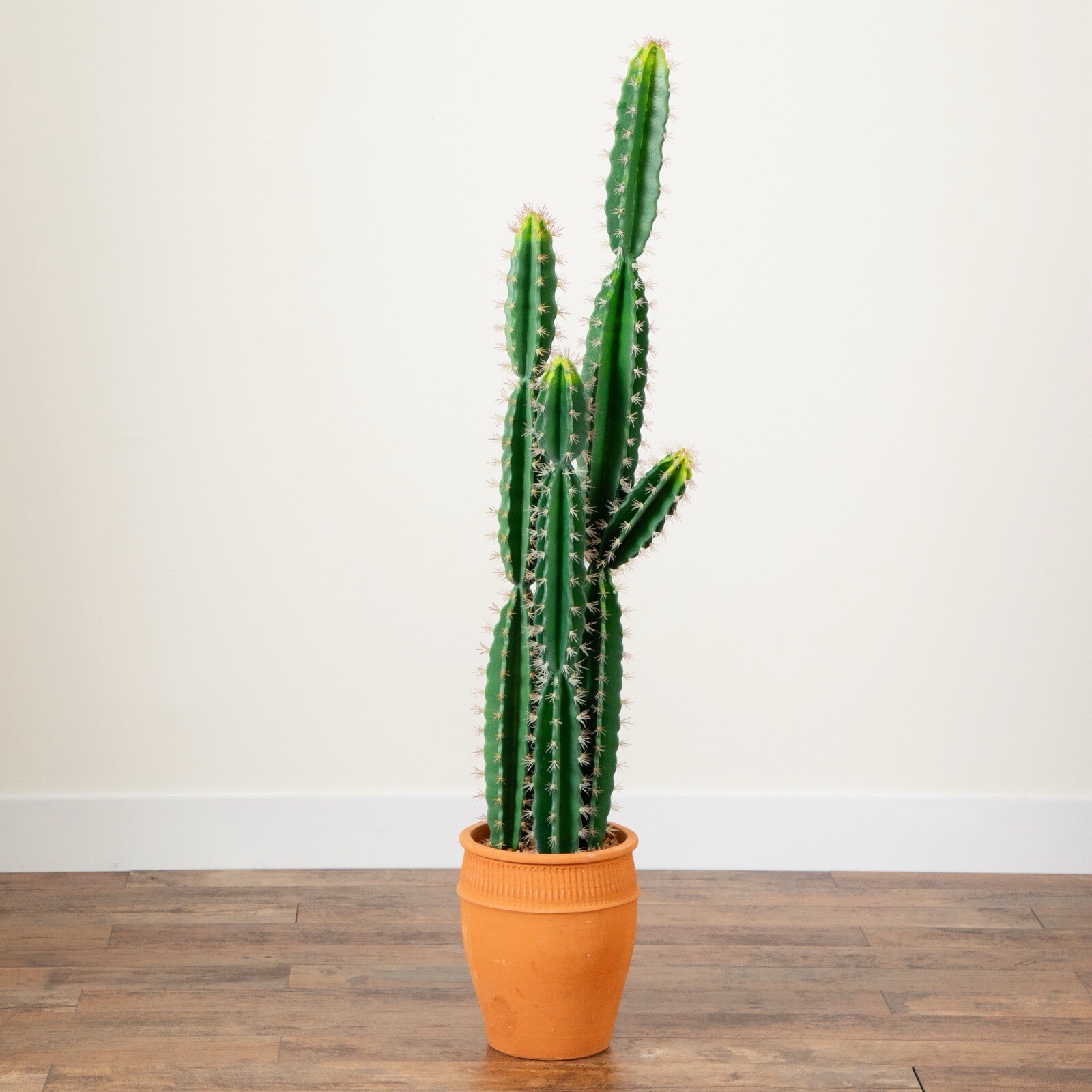 5’ Artificial Cactus in Terracotta Planter Home Decor. Retail $224