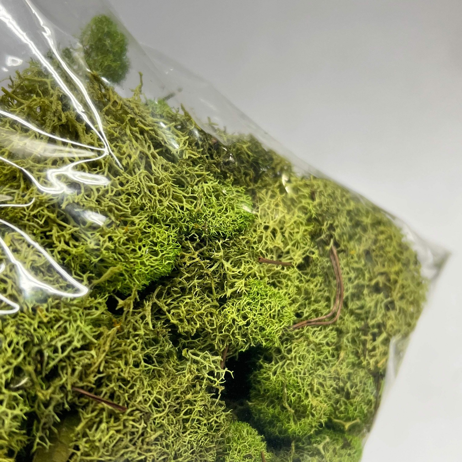ASHLAND (6 PACK, 108.5 In³ Each) Naturals Reindeer Preserved Moss Green 284153