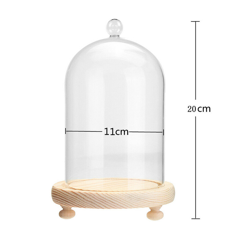 7.87″ Glass Display Bell Jar Dome Cloche Base Decorative Stand Immortal Flower