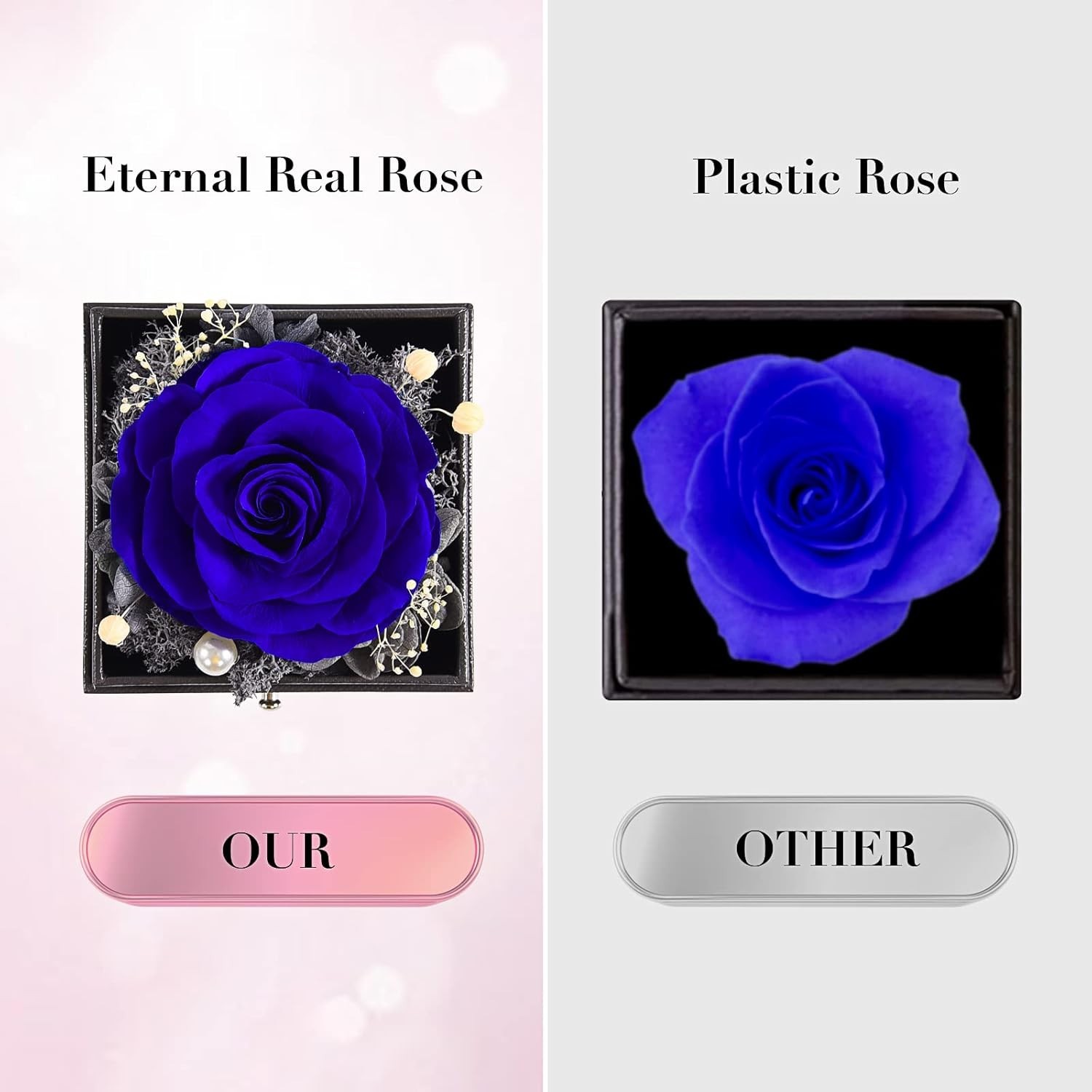 Handcrafted Preserved Rose and Necklace in Jewelry Box – Gifts for Women