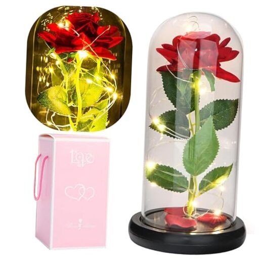 Beauty and The Beast Rose in Glass Dome, Preserved Rose Enchanted Silk Rose Red