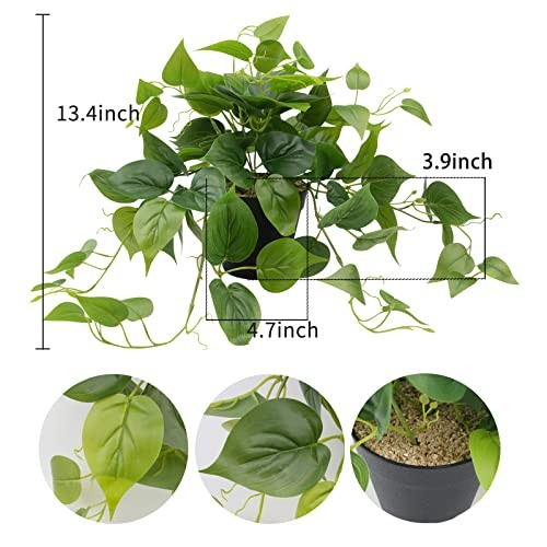 Artificial Scindapsus Aureus Fake Pothos Plants in Black Pots – Pothos-a
