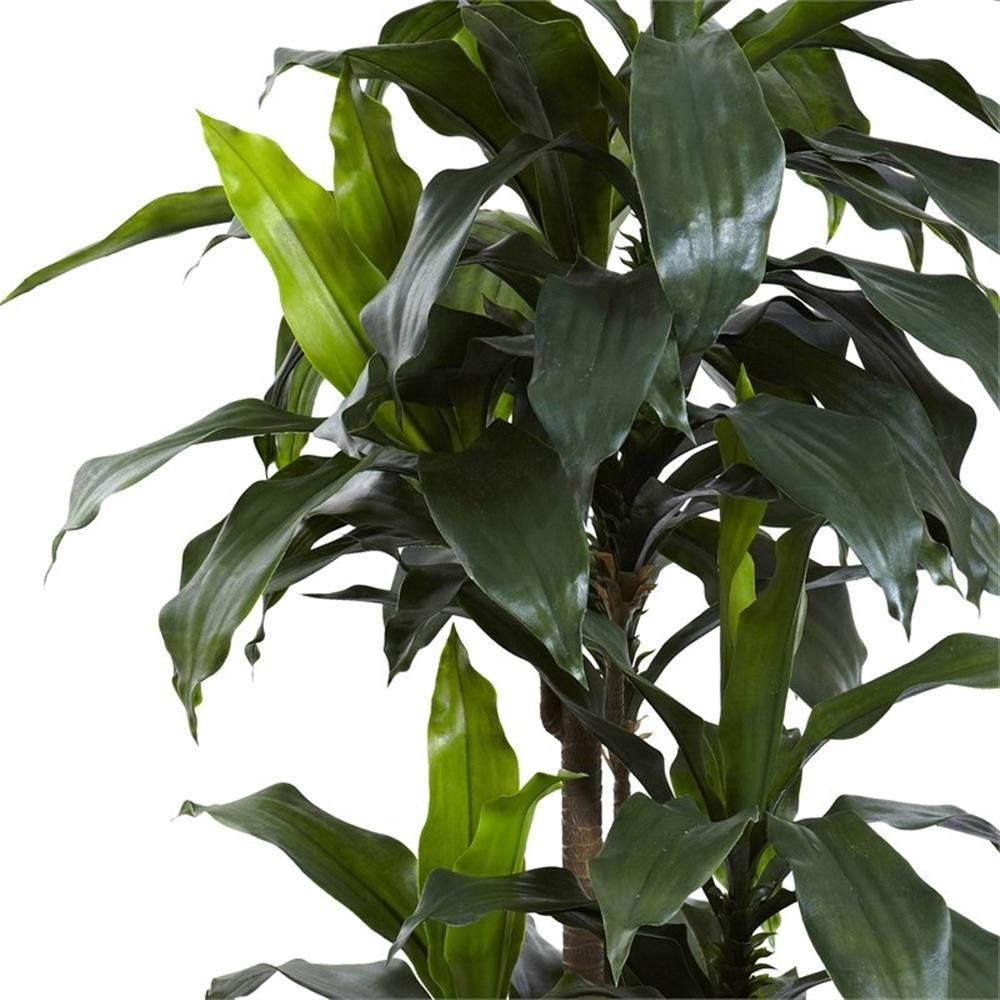 Pemberly Row Indoor/Outdoor 60″ Dracaena Plant UV Resistant in Green/Black