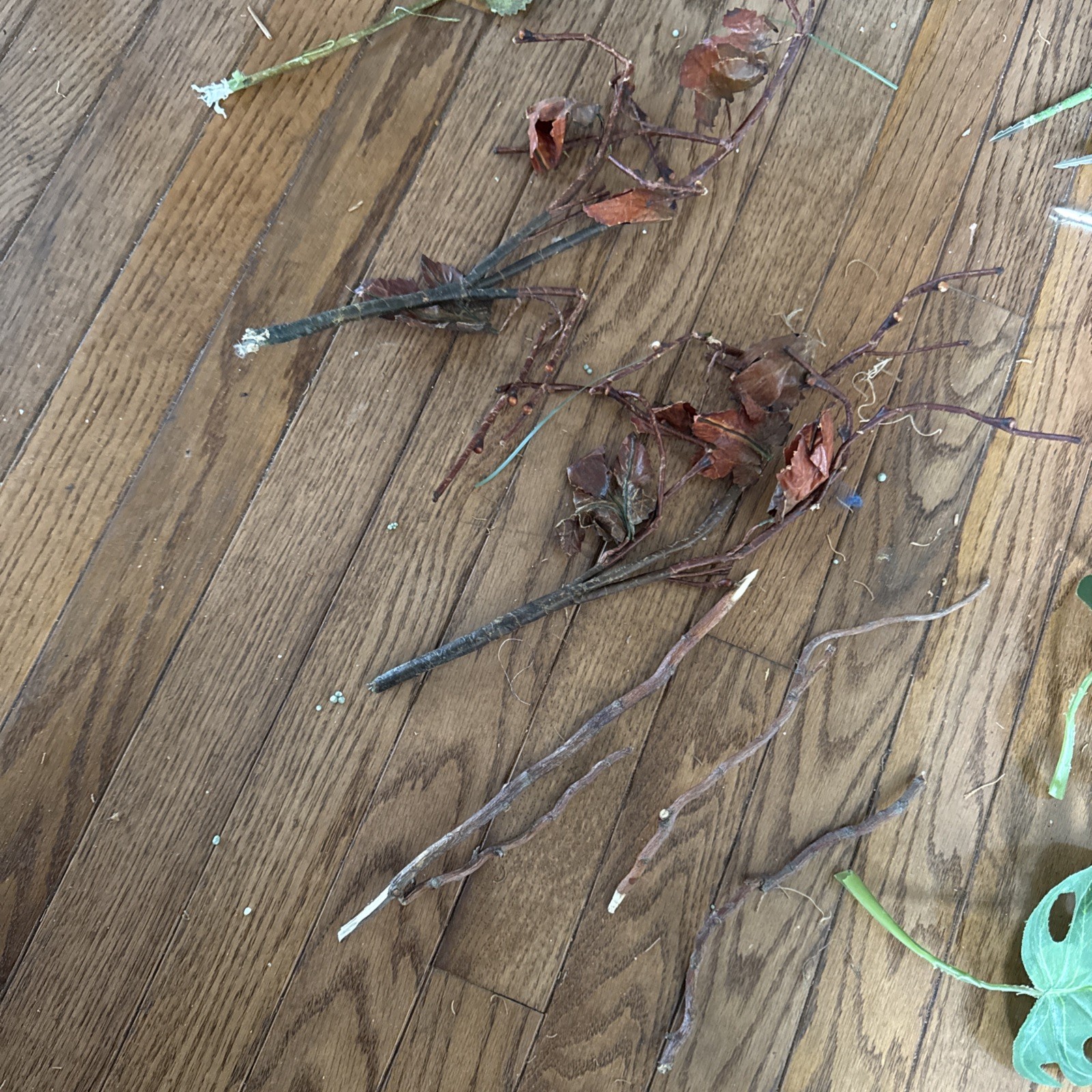VTG artificial frosted berry floral picks Onion Grass Peperomia foliage berry