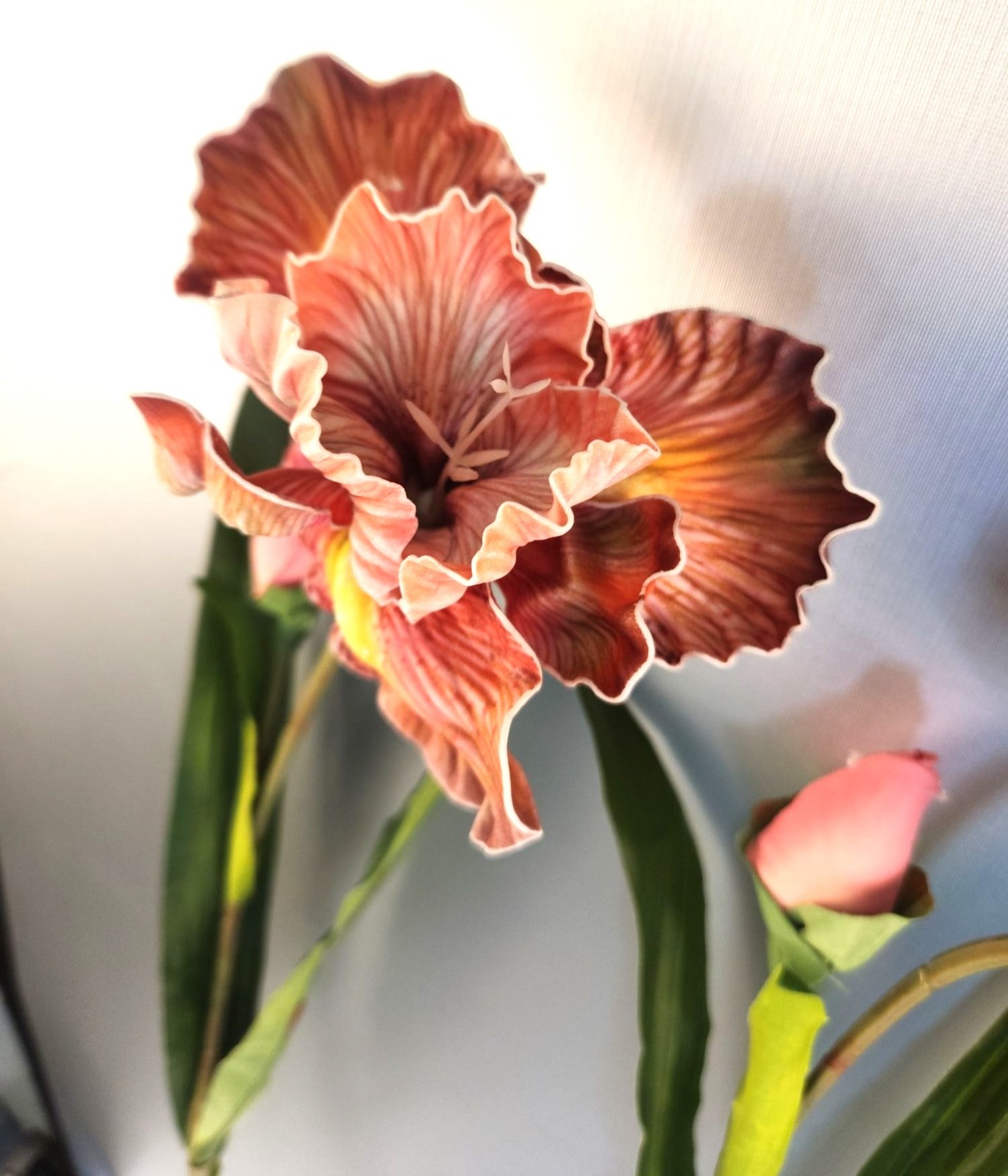 Luxury Artificial Iris Flower 33 Inch Tall Hand Painted Look Terracotta Pink Fau