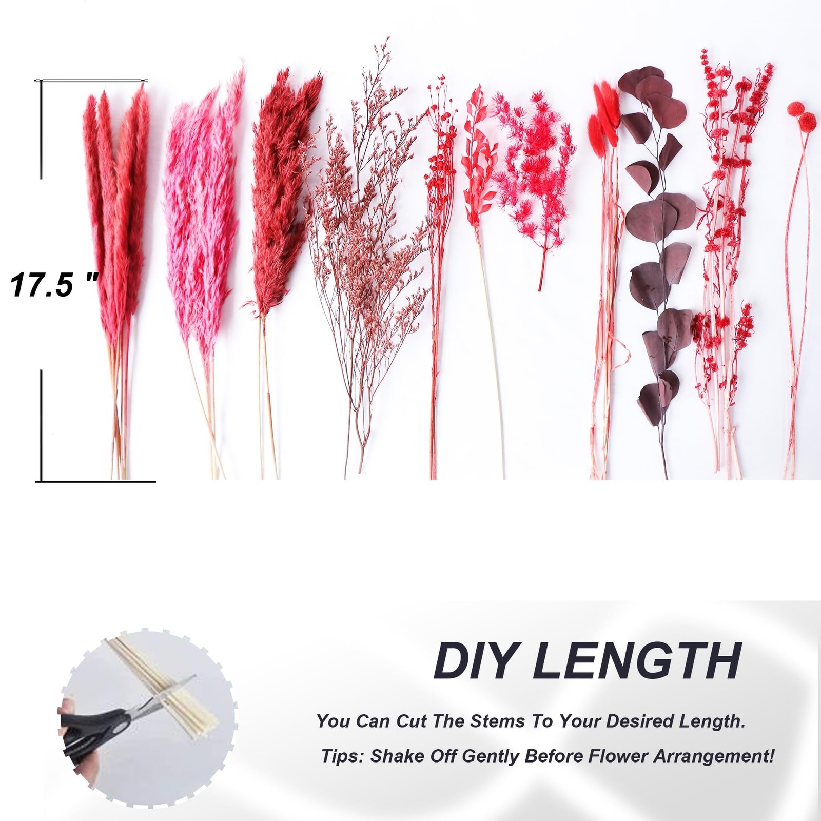 Natural Dried Pampas Grass Bouquet Red 17 Inch Blush Floral Arrangement 1 PCS