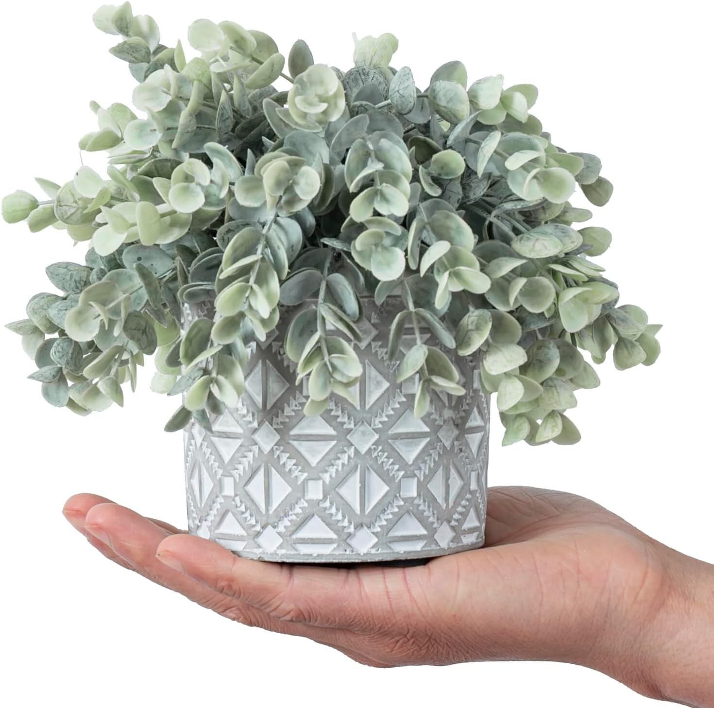 Geometric Embossed Concrete Planter – Artificial Potted Eucalyptus Boxwood Plant