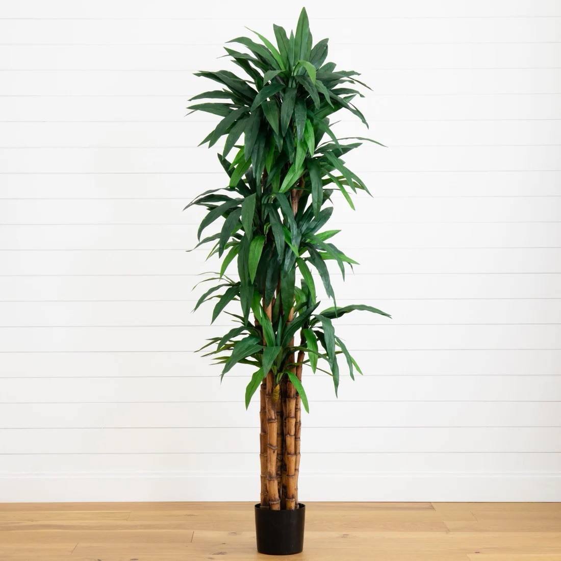 6.5’ Artificial Dracaena Tree Houseplant Plant in Pot, Floral Decor
