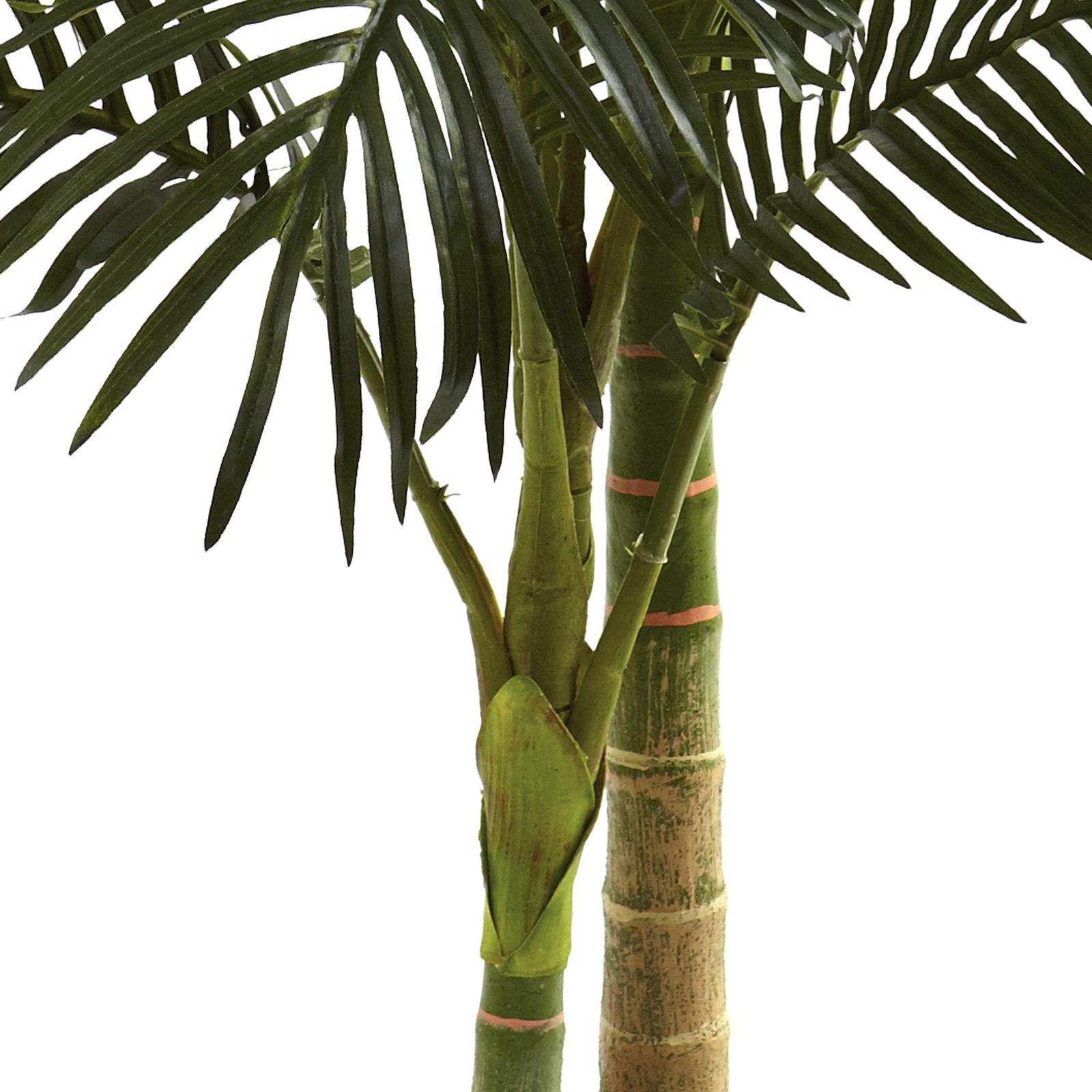 Nearly Natural 60″ Golden Cane Palm Tree with 2-Trunks and Leaves in Green/Black