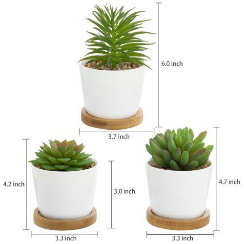 Set of 3 Artificial Succulent Plants in White Ceramic Pots with Bamboo Saucers
