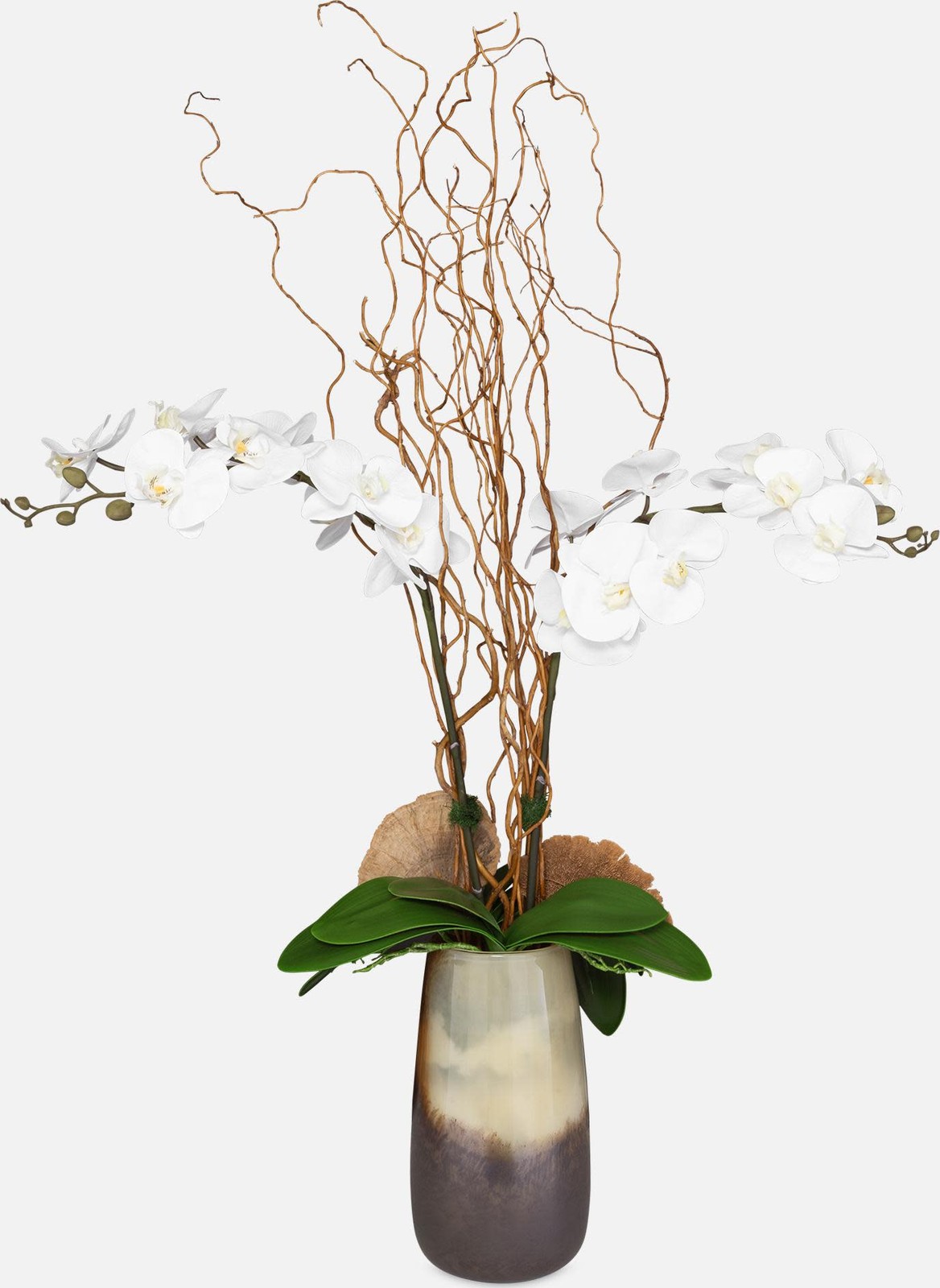 Uttermost 60231 Earthbound Orchid 44″ Tall Glass Faux Flora – Sand / Bronze