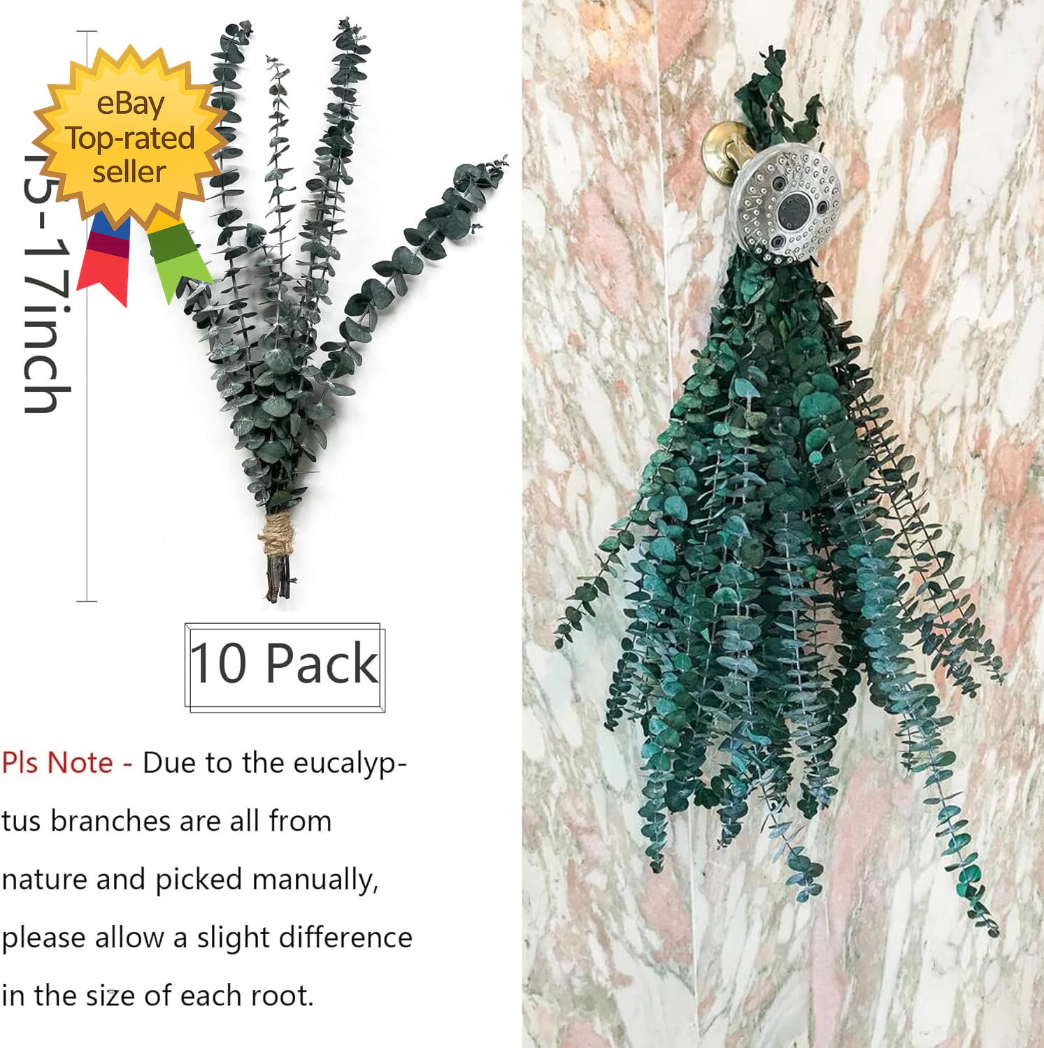 Eucalyptus for Shower 10 Pcs Hanging Dried Eucalyptu Stems 17″ Real Eucalyptus