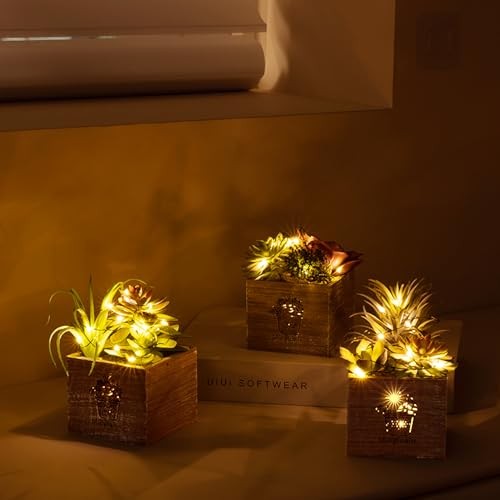 Small Fake Plants, 3 Packs Mini Succulent Plants Artificial with Morning Mist