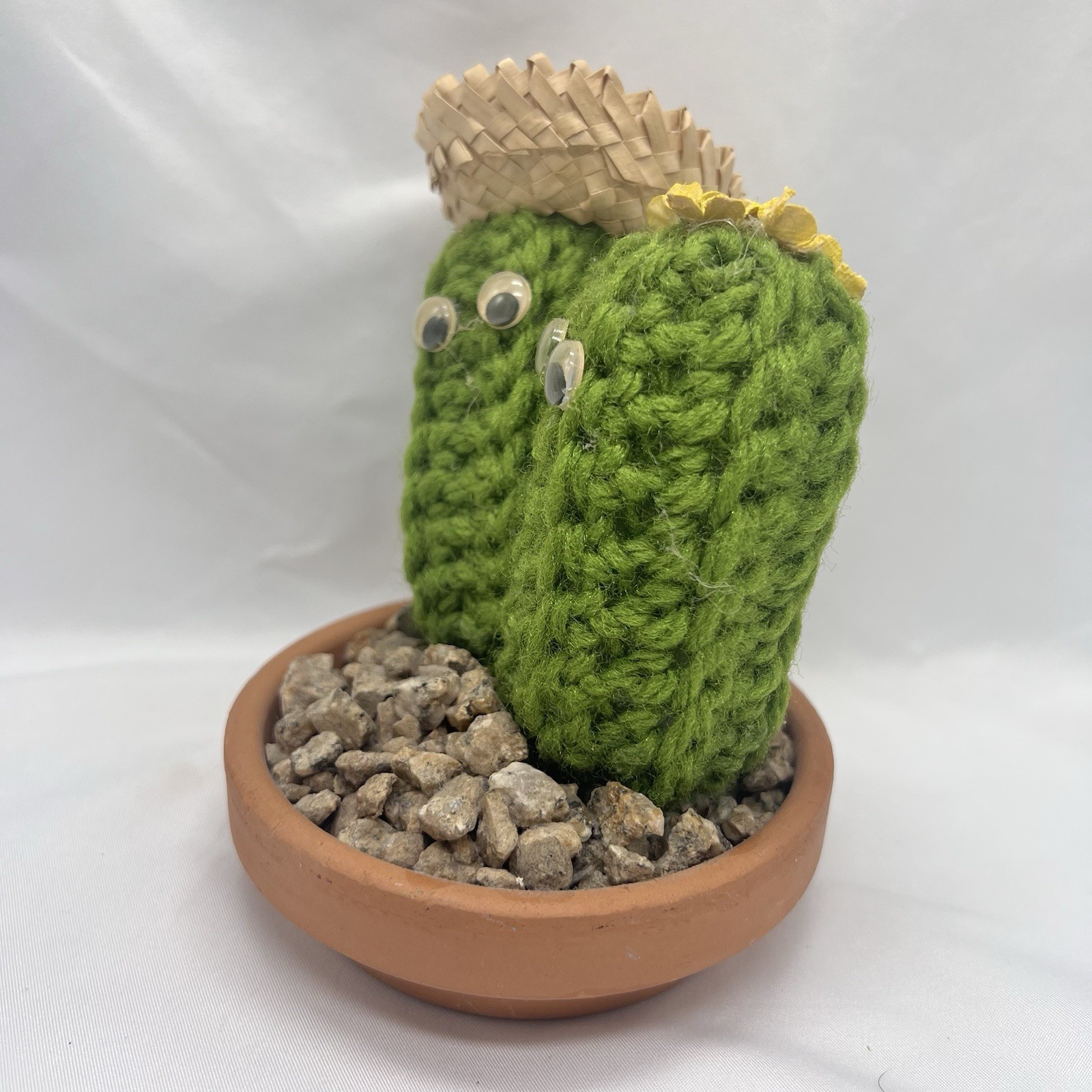 5 1/2” Crocheted / Knitted Potted Cactus Plant In Rock Bed Google Eyes