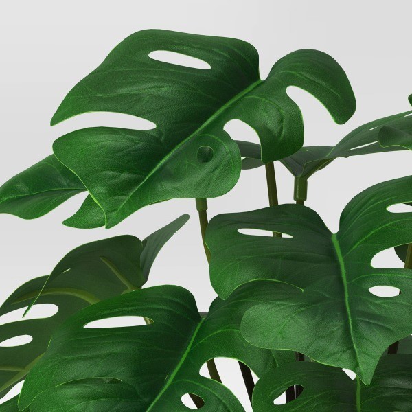 4.6"x7.2" Monstera Artificial Plant – Room Essentials