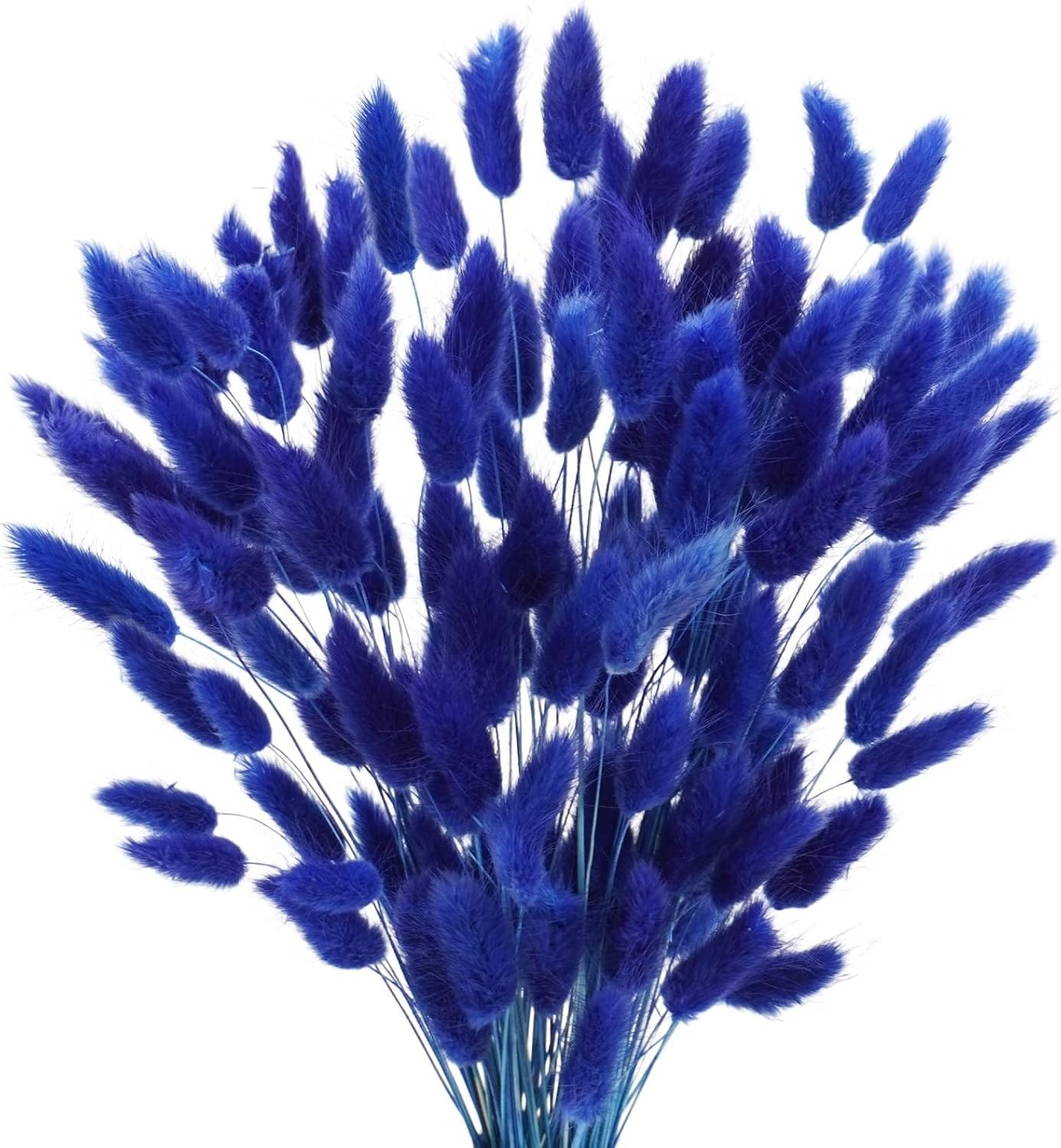120pcs Natural Bunny Tails Dried Flowers 17in Lagurus Ovatus Pampas Grass Decor
