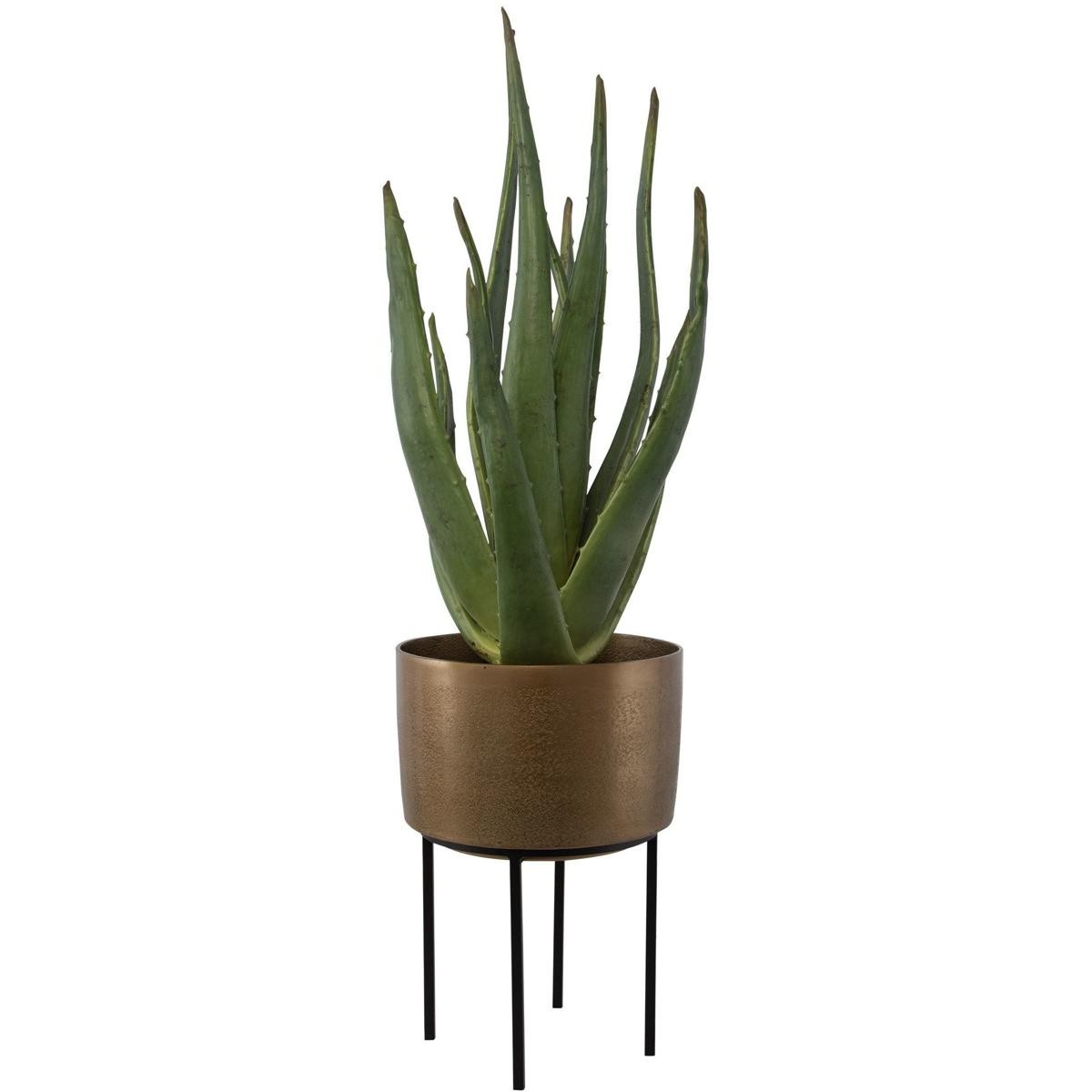 Uttermost 60217 Arabia Green with Antique Brass and Matte Black Aloe Planter