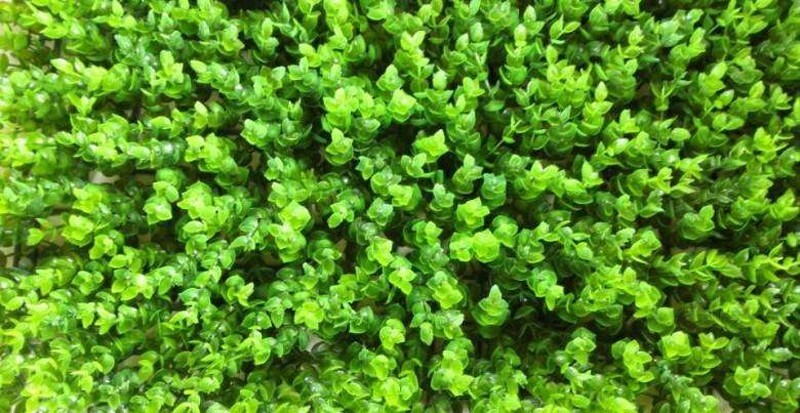 Grass Wall Panels Artificial Grass Modeling Simulation Decorative Mat Backdrop