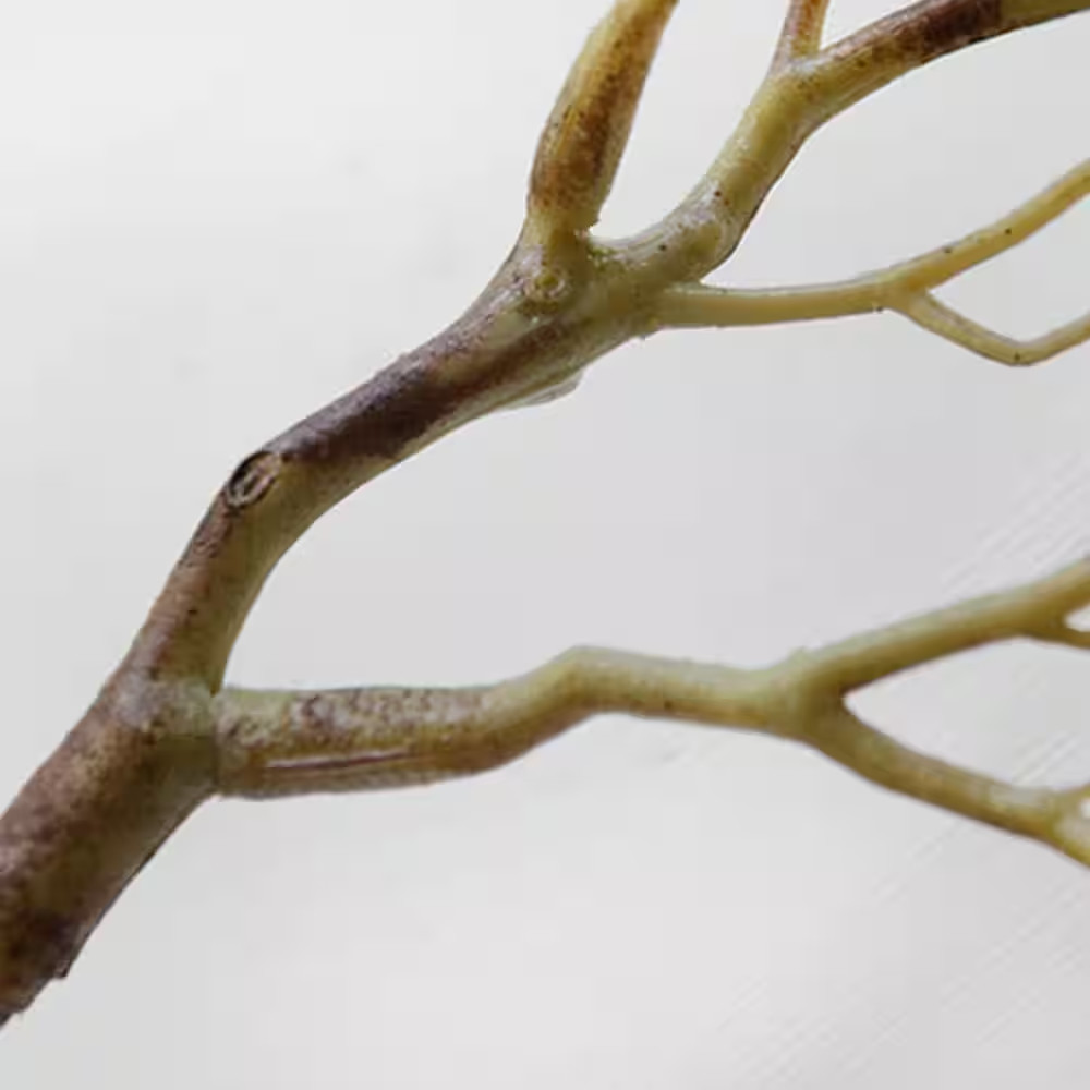 3 In. Artificial Antler Dried Tree Branches Brown Decorative Witch Antler Plasti