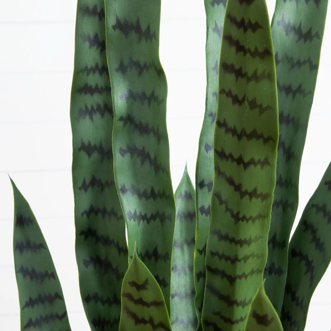 4’ UV Resistant Artificial Sansevieria Plant in White Planter (Indoor/Outdoor)