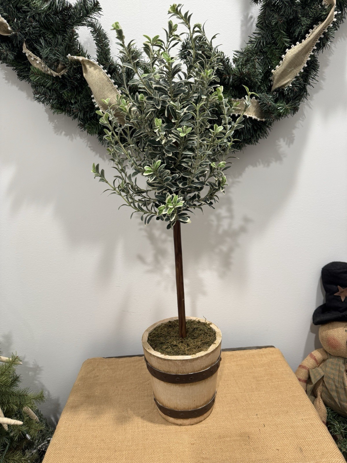 Olive Tree Topiary Tree