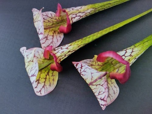 23″ ARTIFICIAL Pitcher Plant Stems real touch three stems
