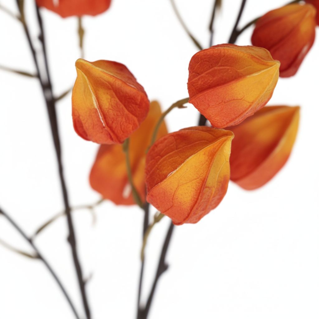 Artificial Orange Chinese Lantern Flower Stems Set of 2 Tall Faux Autumn Branche