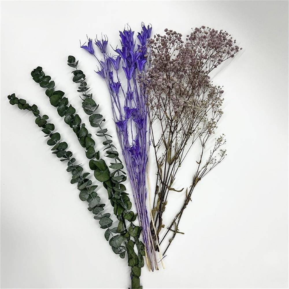 Pemberly Row 10-inch High Real Preserved Mixed Bouquets in Small Size