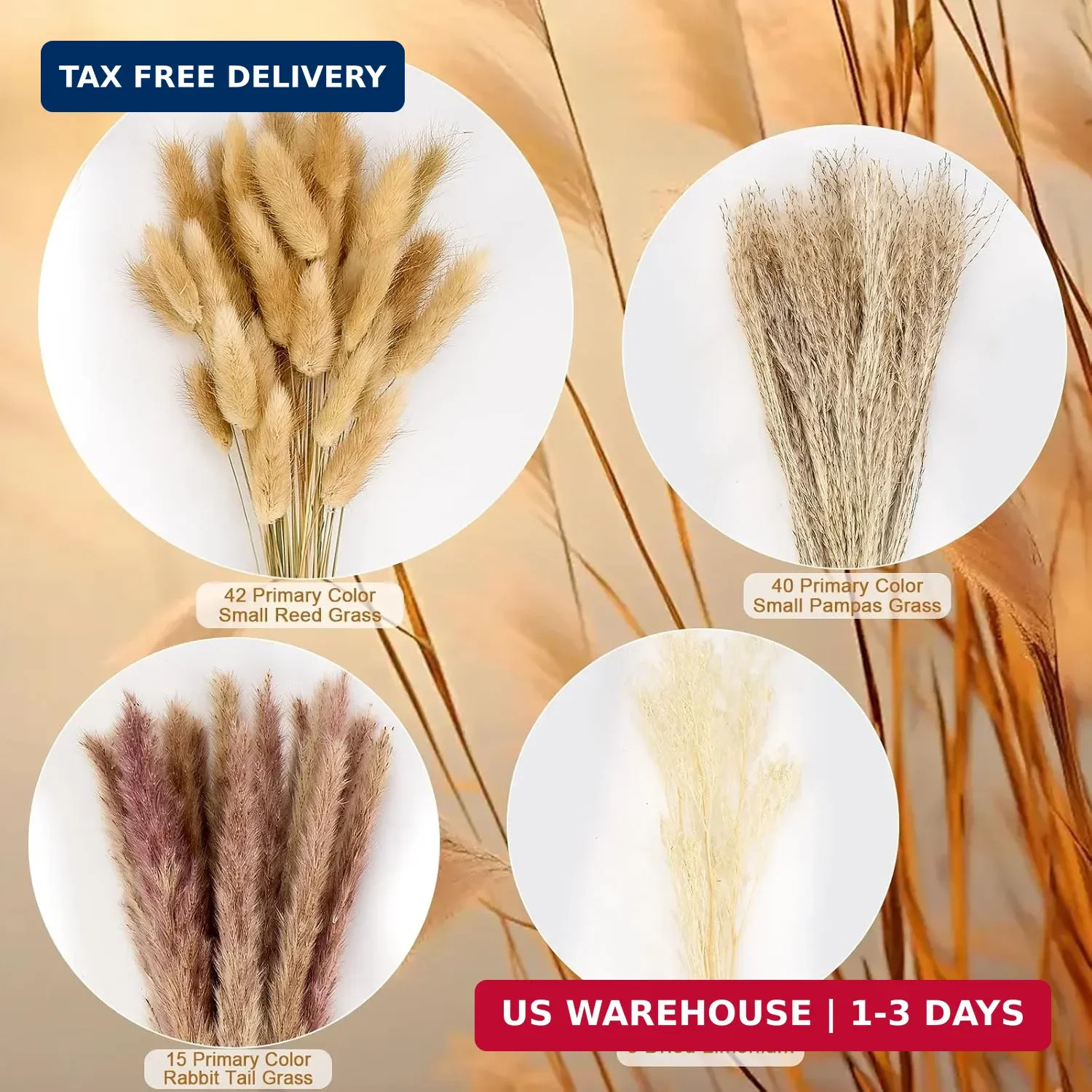 100 Pcs Pampas Grass Boho Decor, 17″ Dried Flowers Bouquet for Vase, Crafts, Boh