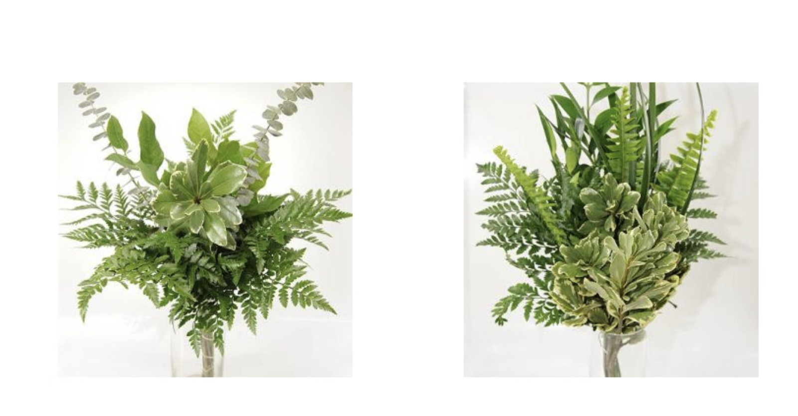 Greenery “drop in” Bouquets MEDIUM 10 Bunches