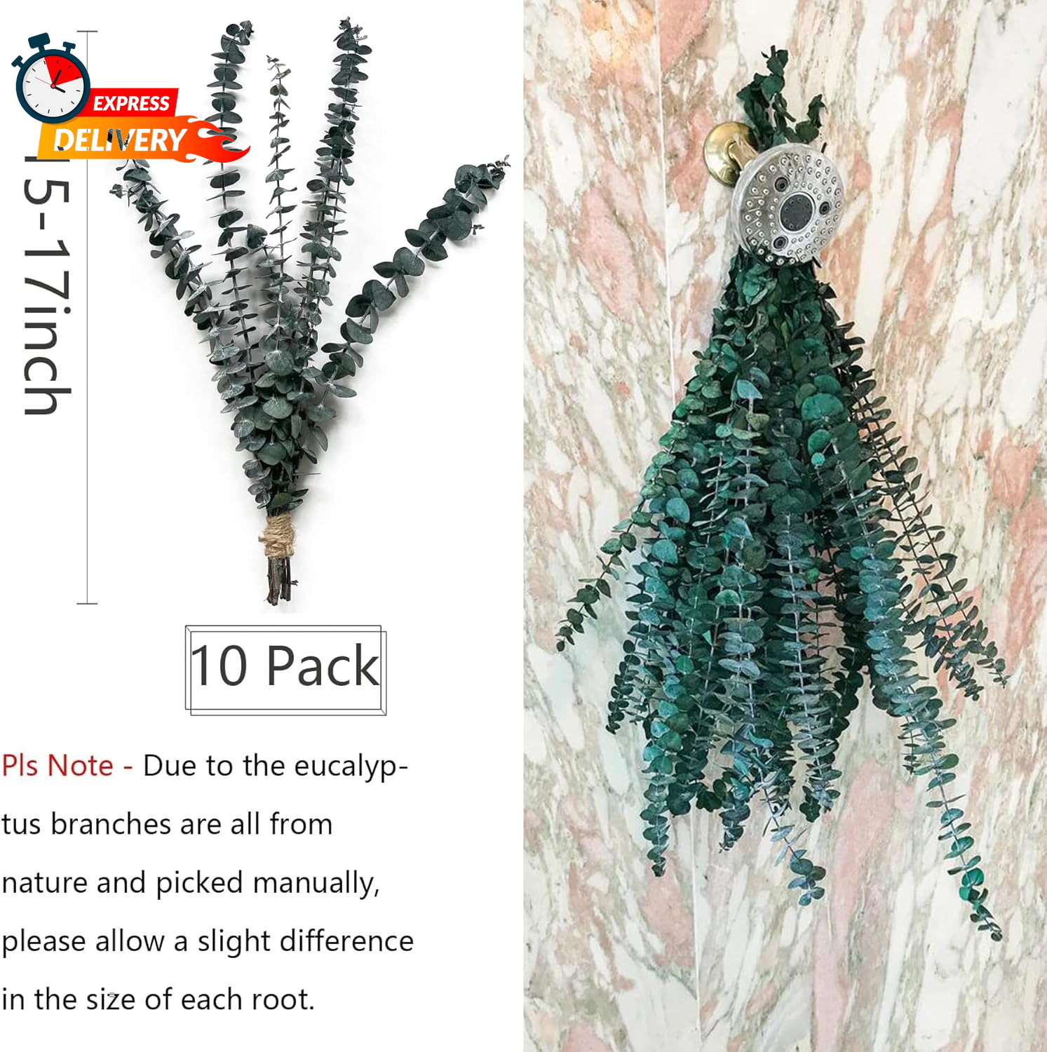 Eucalyptus for Shower 10 Pcs Hanging Dried Eucalyptu Stems 17″ Real Eucalyptus B