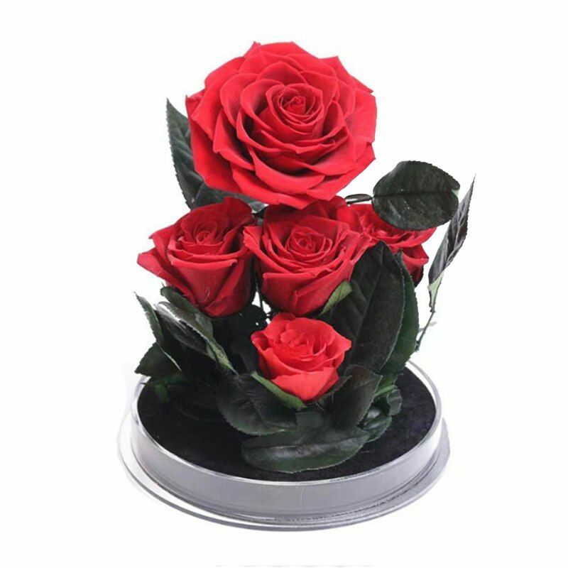Eternal Flowers Rose Valentine Christmas Wedding Birthday Gifts For Girlfriend