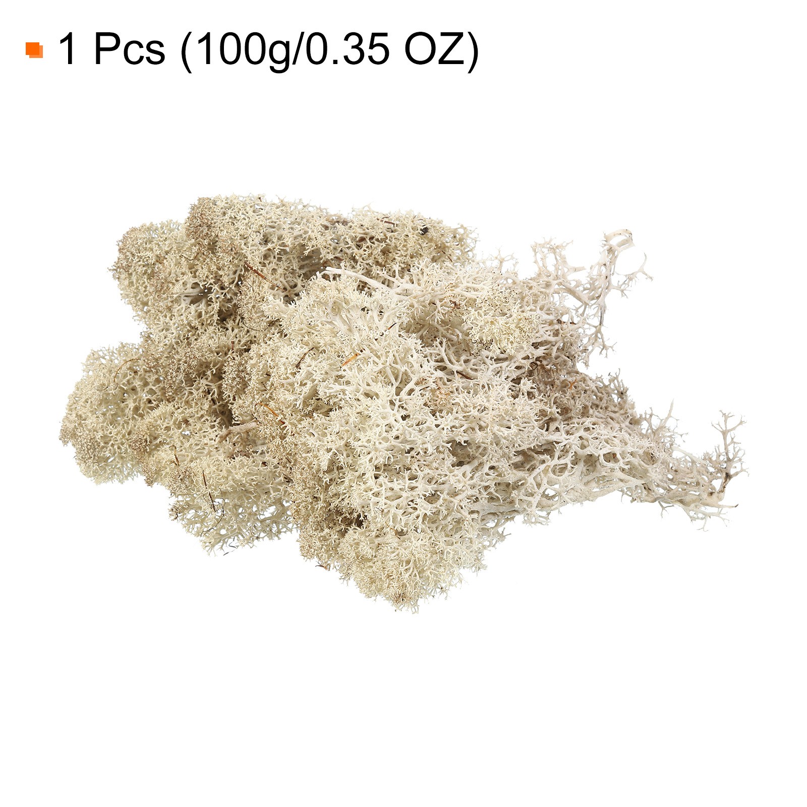 3.5OZ Moss Preserved Moss Artificial Moss for Craft Floral Natural Colour