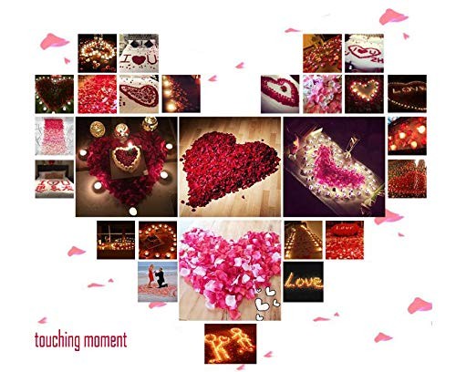 Dark Red Artificial Fabric Rose Petals Wedding Flower Decor 2000 PCS