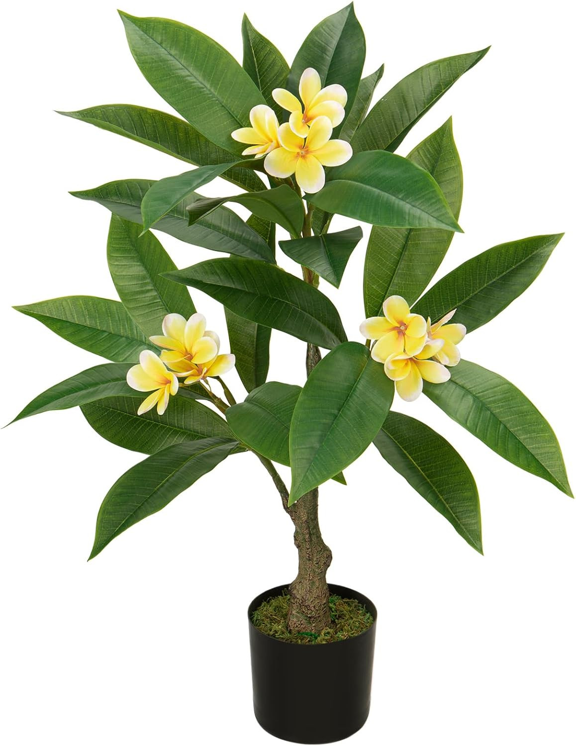 Artificial Plants Indoor 26.77” Fake Tropical Plumeria Flowers Tree Plants in B