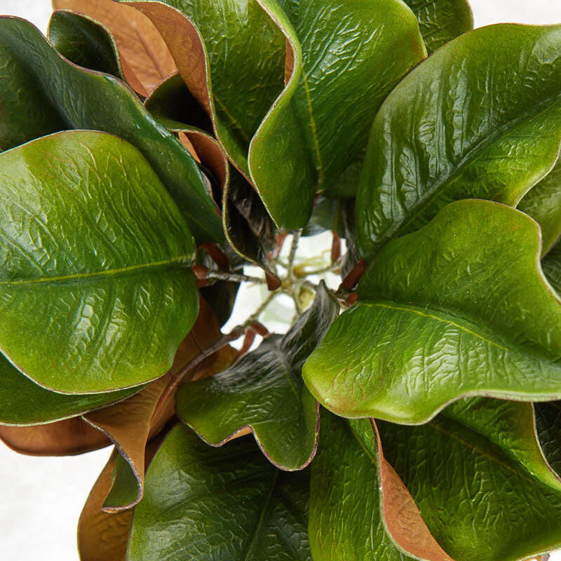 Brown and Green Artificial Magnolia Leaf Bush