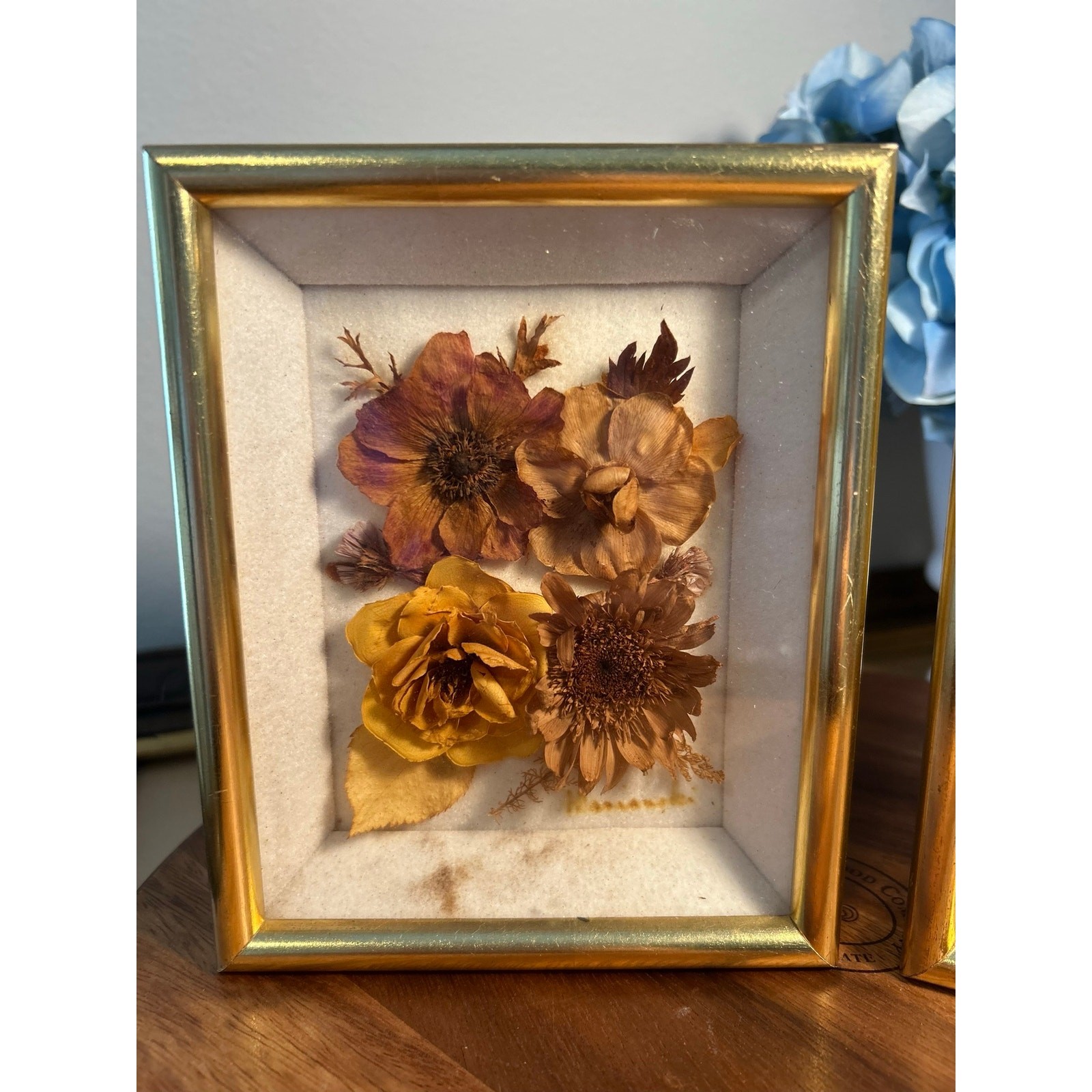 Vintage Dried Florals Wall Art Set