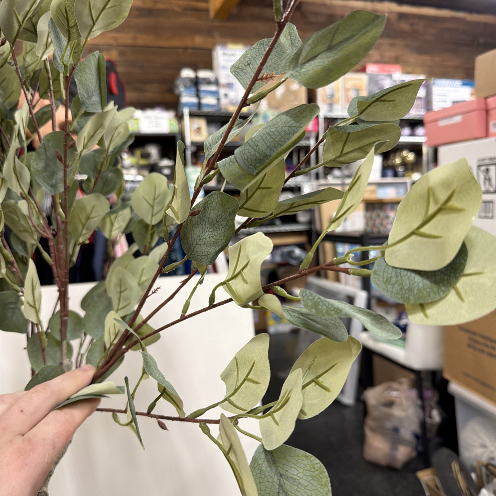 2 Pack 5 Ft Artificial Eucalyptus Trees. Read!