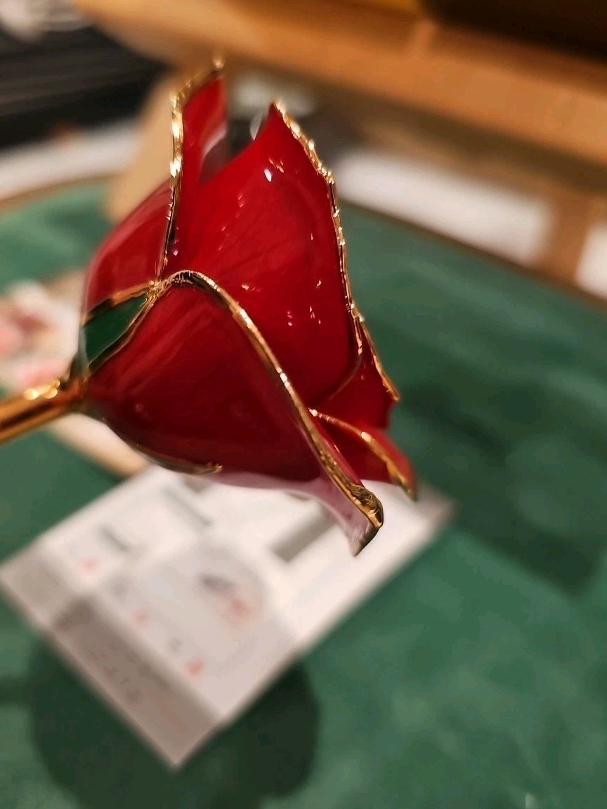 24K Gold Dipped Long Stem Real Rose in Gift Box – Perfect gift for any occasion!