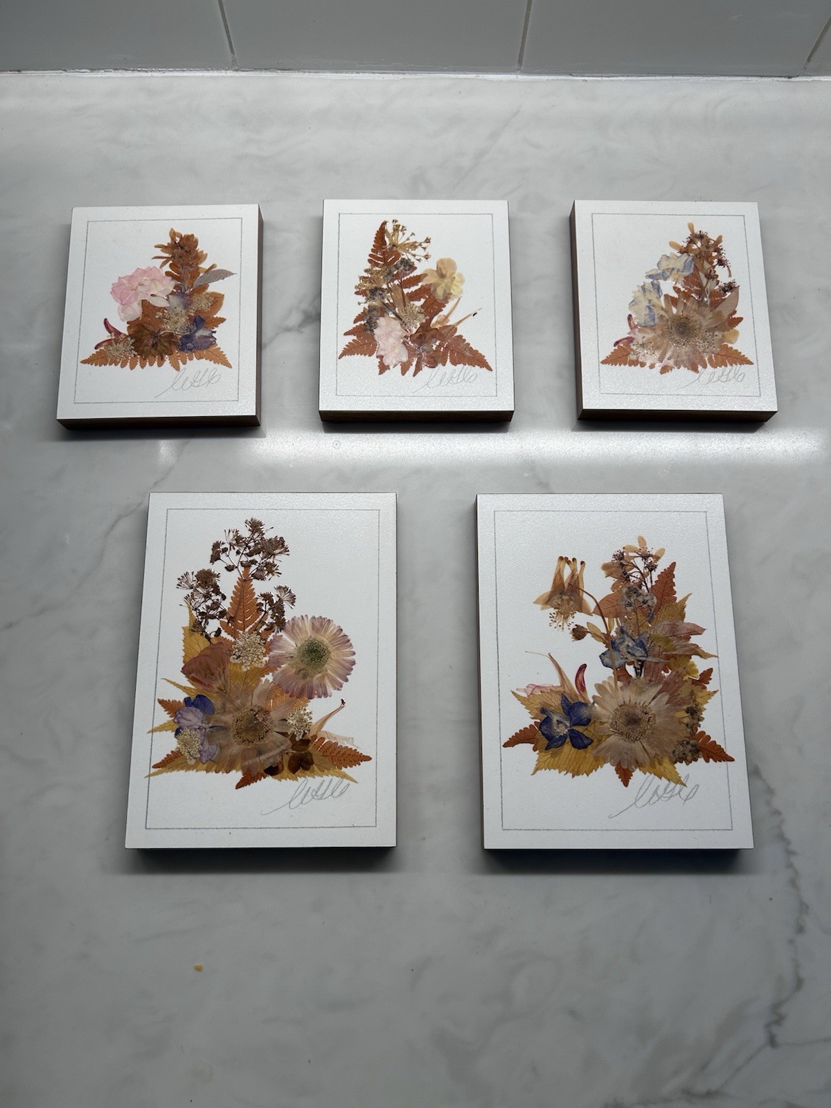 Vintage Pressed Flower Art Set 5 Botanical Floral Plaques Cottagecore Wall Decor