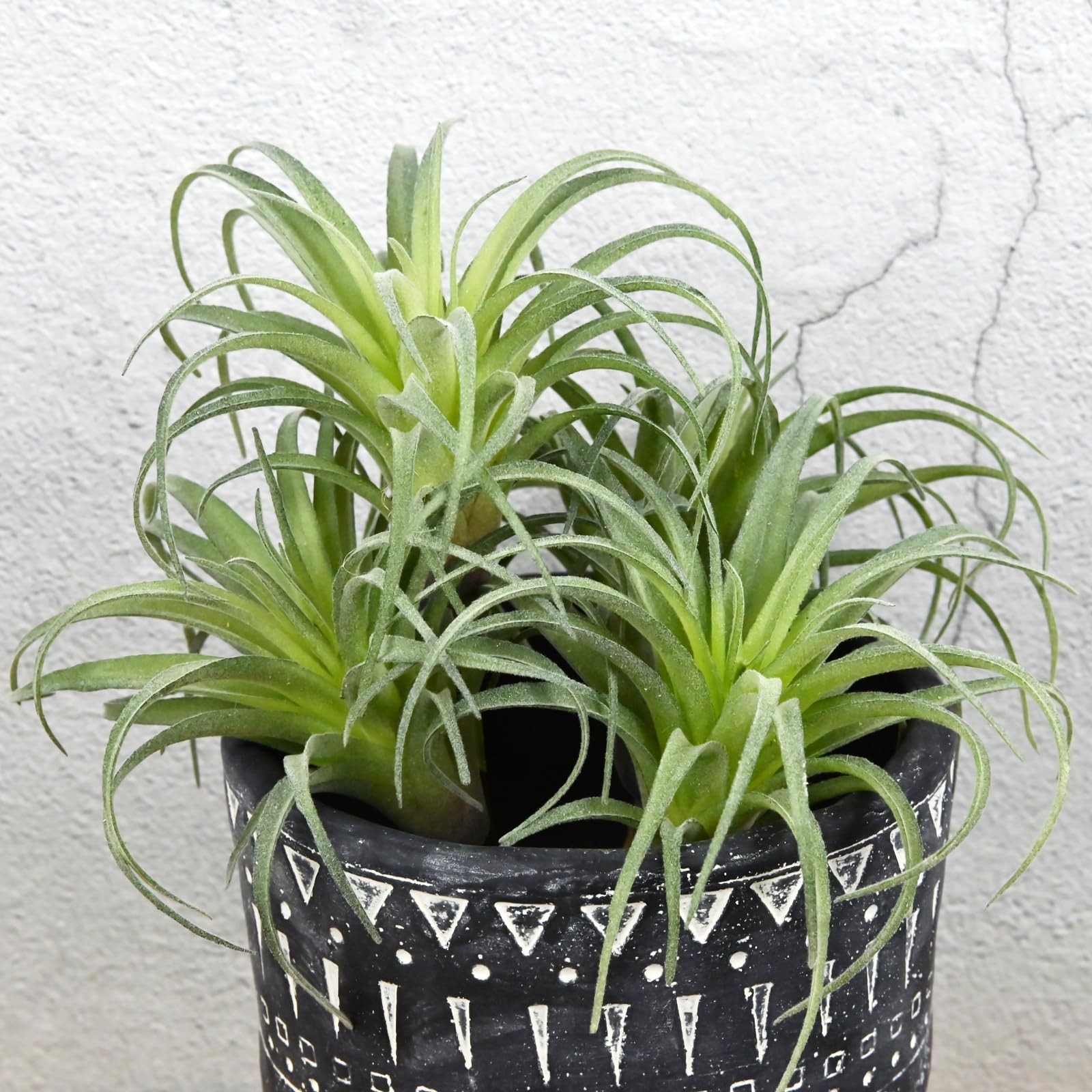 Fake Artificial Tillandsia Air Plants, 4pcs Flocked Green Faux Bromeliads for…