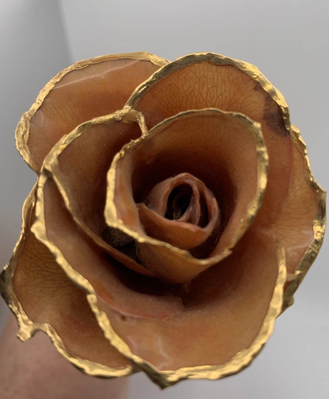 Real Rose Lacquer Dipped 24 Karat Gold Trim Lite Pink/Orange 11.5” With Vase
